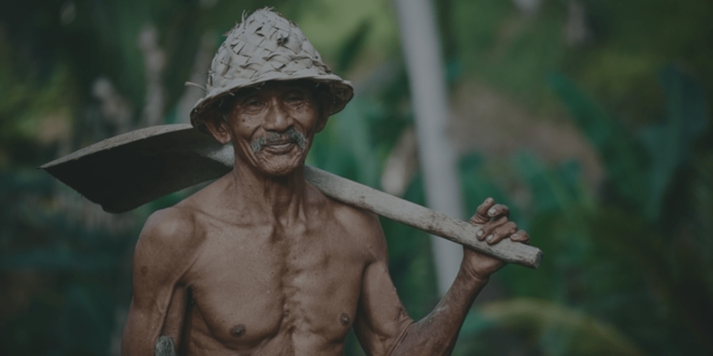 Ageing and Vitality – can the two be interlinked?